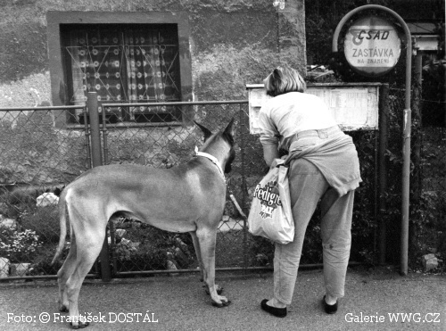 Foto: &copy; František Dostál